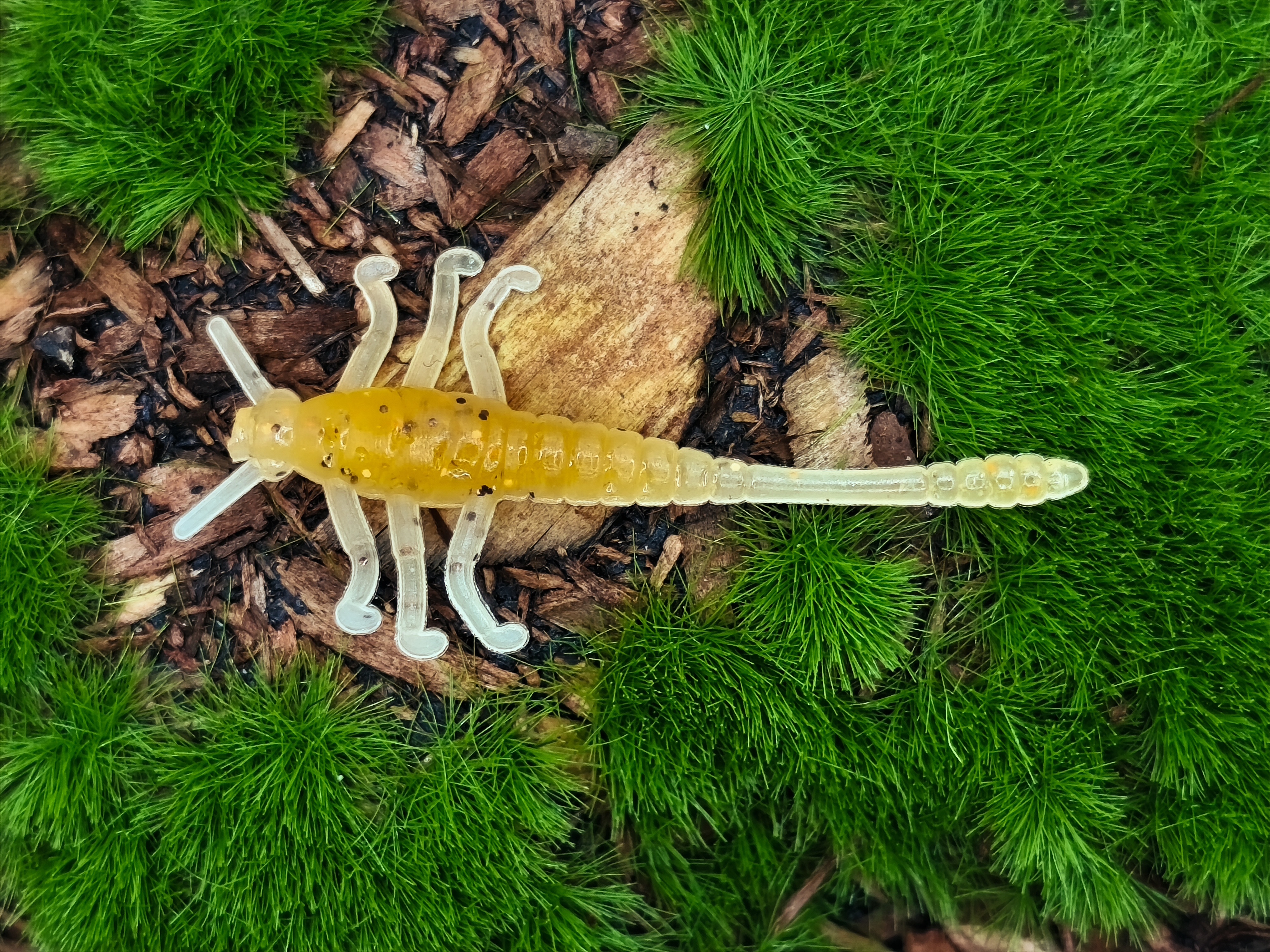 MAYFLY TIPSY 1,5 sand/orange transparent