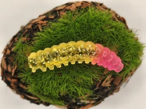 CATERPILLAR BUTTERFLY 1,2 gold transparent+pink