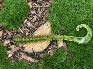 WORM SATURN 2,0 olive
