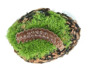 CATERPILLAR BUTTERFLY 1,2 brown